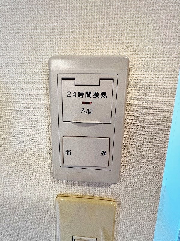 YANAGISIGHT　(ヤナギサイト) その他32