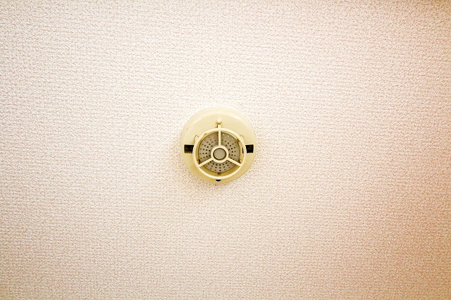 ルミエール上尾 その他5
