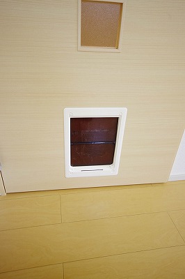 ルシアンサキタ その他10