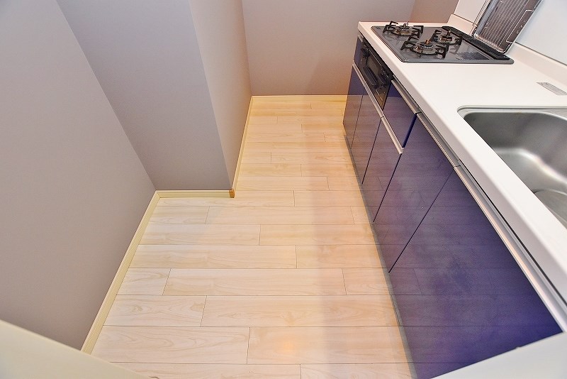 フェリシエ三萩野 その他24