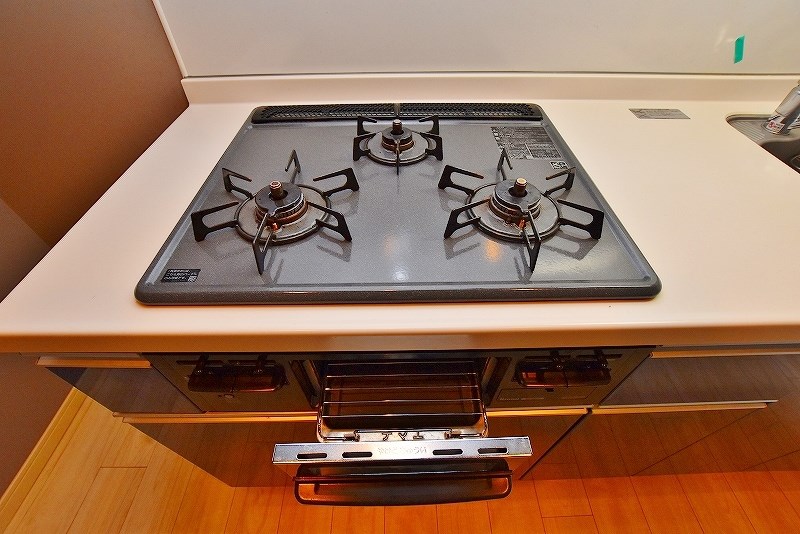 フェリシエ三萩野 その他27