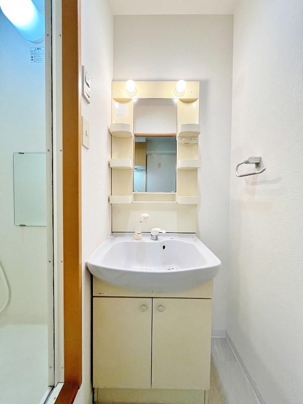 デザイナープリンセス７７ その他1