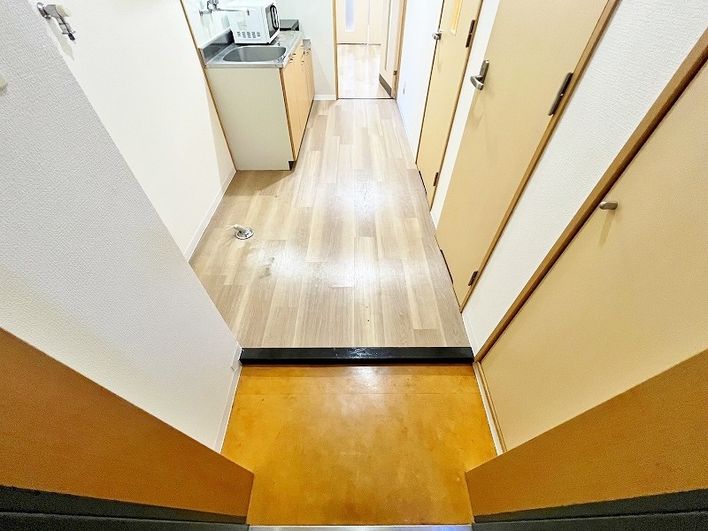 デザイナープリンセス７７ その他9