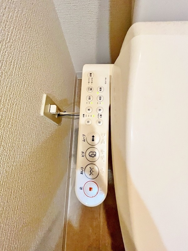 デザイナープリンセス７７ その他12