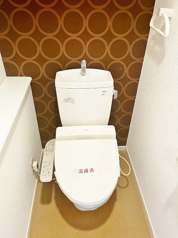 Ｆｅｌｔ７１６（フェルト７１６） その他17