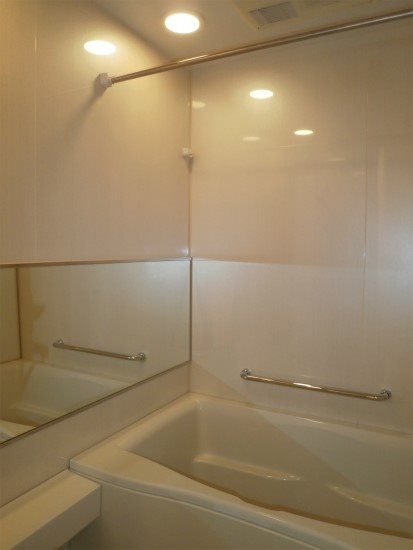 カスタリア高輪台 風呂画像