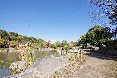 ロイヤルガーデン壱番館 周辺画像7