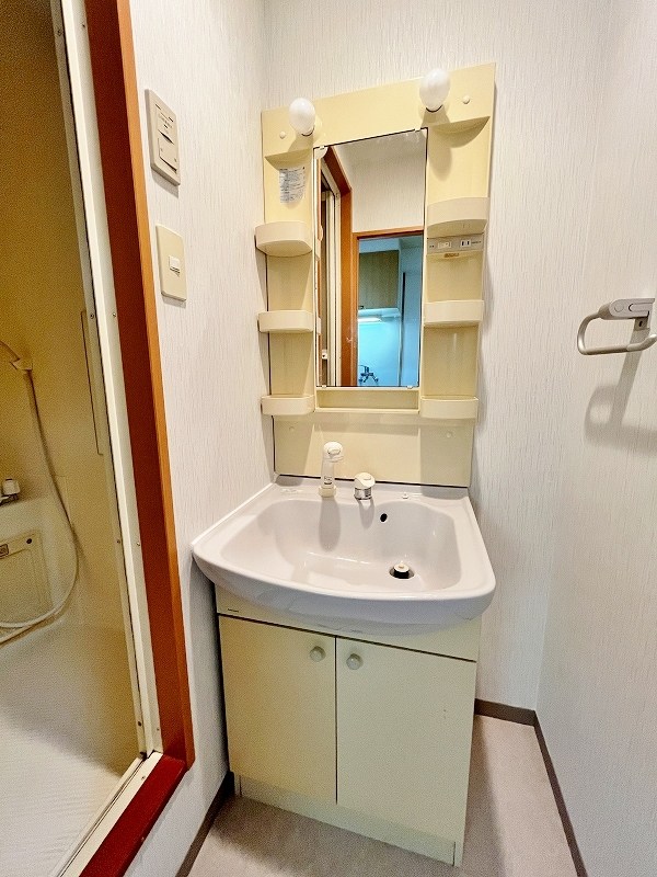 デザイナープリンセス７７ その他1