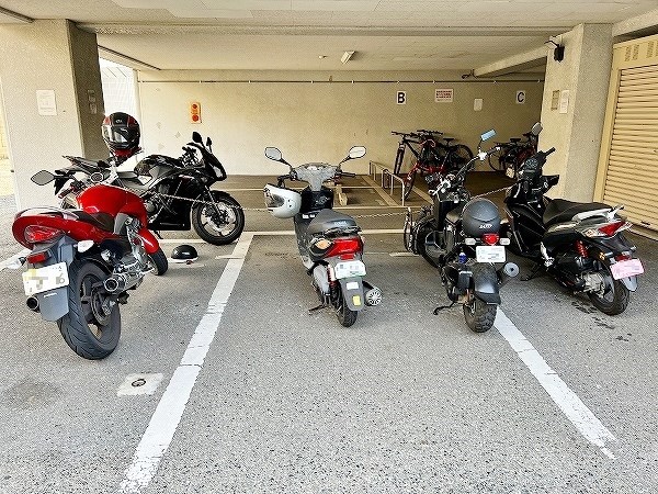 ロイヤルアネックス  その他外観5