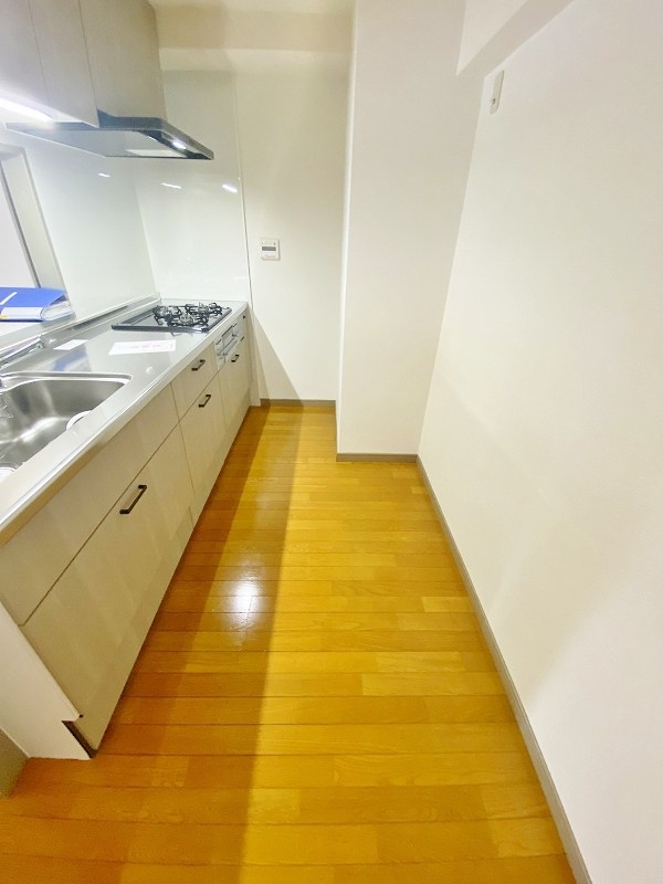 ベルカーサ守恒　 その他39