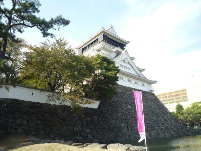 ｍａｉｓｏｎ　ｄｅ　ｐｒｅｃｉｅｕｓｅ（メゾンドプレシューズ） 周辺画像5