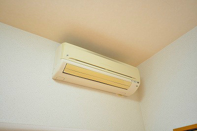 アヴィニール№５ その他4