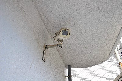 アヴィニール№５ その他18