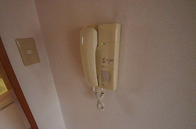 ベルベデール大門 その他5