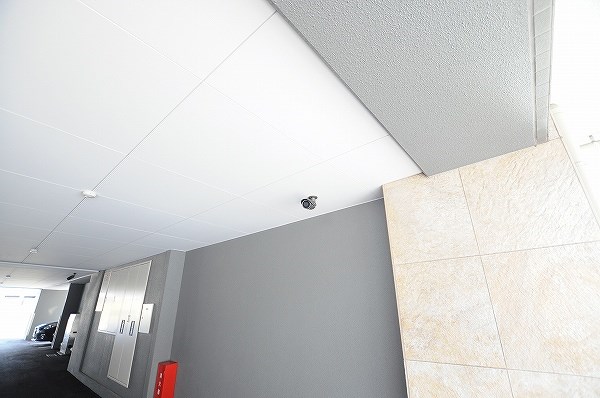 メゾン・ド・プレシューズ その他8