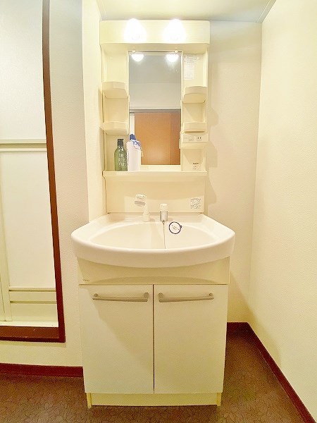 アコールＩ その他1