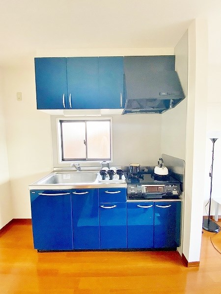 アコールＩ その他19