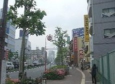 板橋区赤塚新町1丁目　楽器可（ピアノ・弦楽器）マンション その他