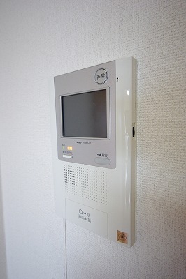 エヴァーグリーンＮ その他3