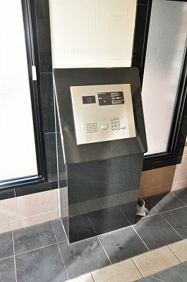 エヴァーグリーンＮ その他22
