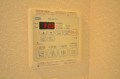 カサロサ その他5