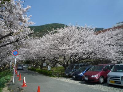 シャトレ安部山 周辺画像5