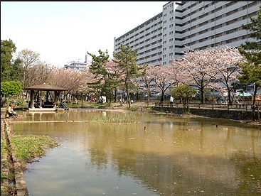 江東区南砂２丁目楽器可（種類相談）分譲マンション　 その他