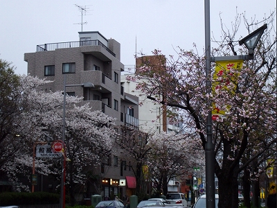 世田谷区弦巻4丁目楽器可(ピアノ・弦楽器・声楽)マンション その他