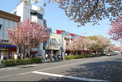 世田谷区弦巻4丁目楽器可(ピアノ・弦楽器・声楽)マンション その他