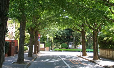 田園調布楽器可（ピアノ・弦楽器）マンション その他