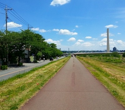 田園調布楽器可（ピアノ・弦楽器）マンション その他