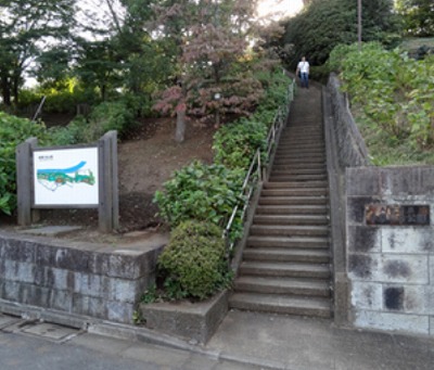 田園調布楽器可（ピアノ・弦楽器）マンション その他