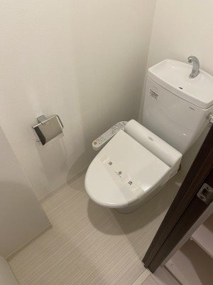 ARTESSIMO SIRIUS その他2