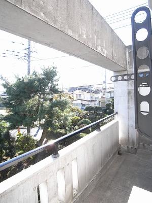 パイントゥリーハウス その他23