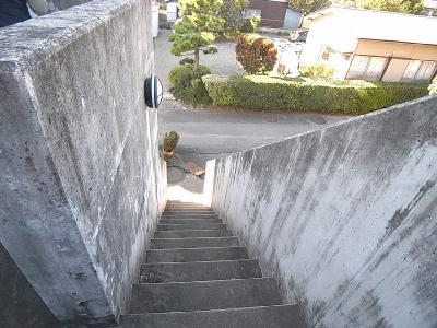 パイントゥリーハウス その他24