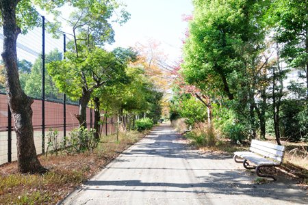 飛田給ハイツ 周辺画像9