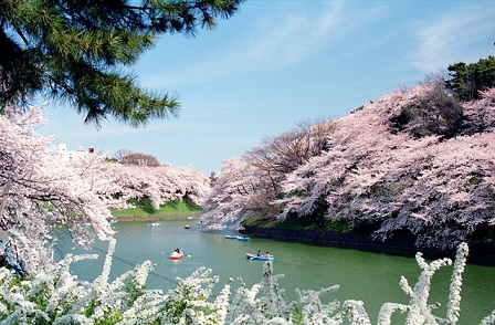 千鳥ヶ淵 カテリーナ市ヶ谷 周辺画像5