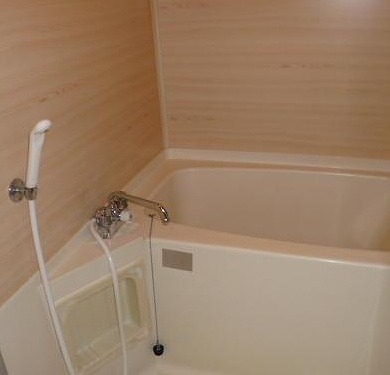 中野区中央5丁目楽器可（ピアノ・弦楽器）分譲マンション 風呂画像
