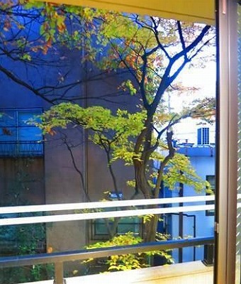文京区音羽1丁目楽器可(ピアノ・弦楽器)マンション ベランダ