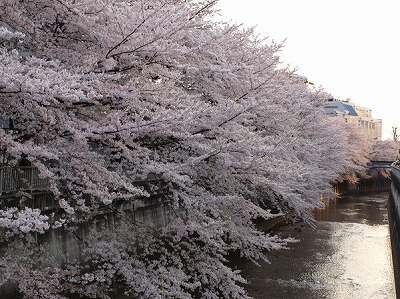 練馬区桜台3丁目楽器可（ピアノ・弦管楽器・声楽）マンション その他