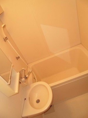 板橋区赤塚新町1丁目楽器可（ピアノ・弦楽器）マンション 風呂画像