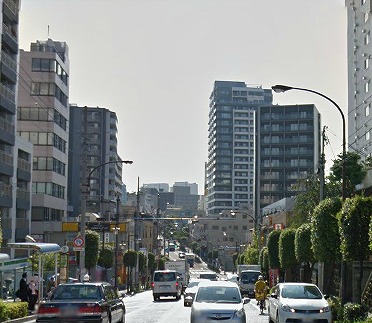新宿区市谷薬王寺楽器可（弦楽器）築浅デザイナーズ分譲マンション 玄関