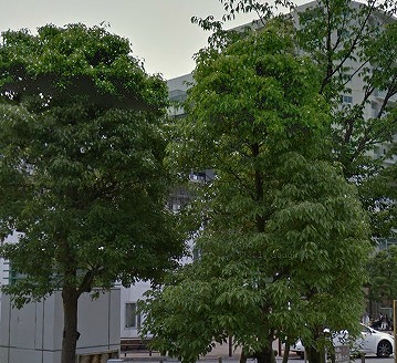 目黒区大岡山1丁目楽器可(ピアノ)マンション その他