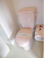 練馬区練馬2丁目楽器可（アップライトピアノ）マンション 玄関