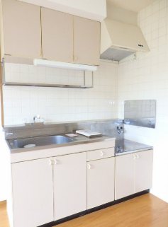 ニューグレイスヒロ キッチン