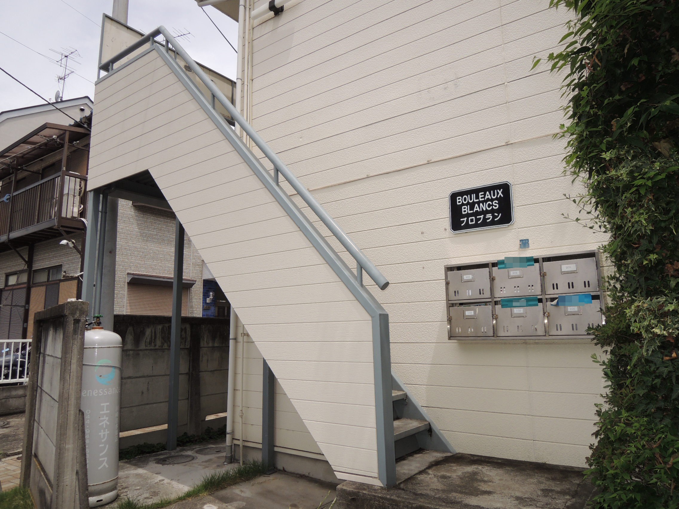 ブロブラン その他1