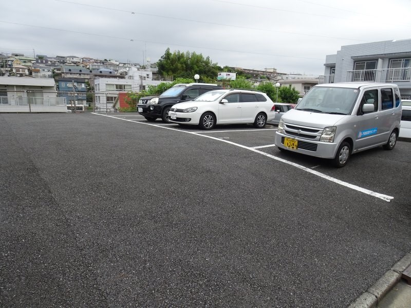 シグナス-Cygnus- その他1