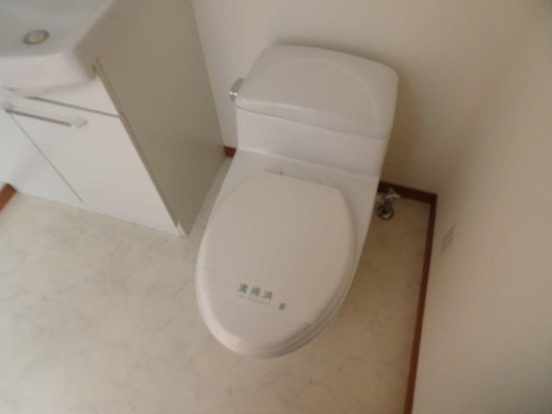 シグナス-Cygnus- その他4