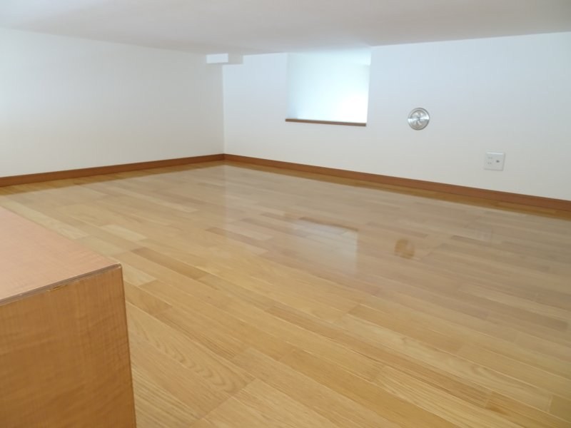 シグナス-Cygnus- その他8