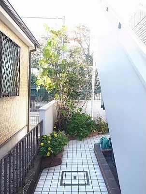 杉並区和泉４丁目楽器可(ピアノ・弦・管打楽器・声楽)マンション その他共有部分